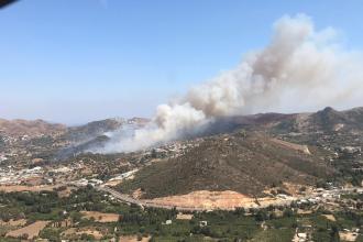 Aydın'da ormanda çıkan yangına müdahale ediliyor: 1 mahalle tahliye edildi