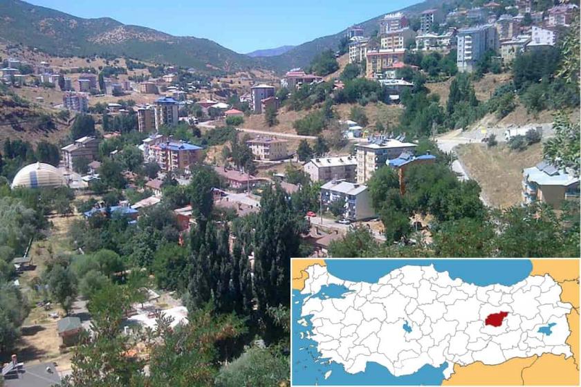 Dersim - 31 Mart 2019 yerel seçim sonuçları