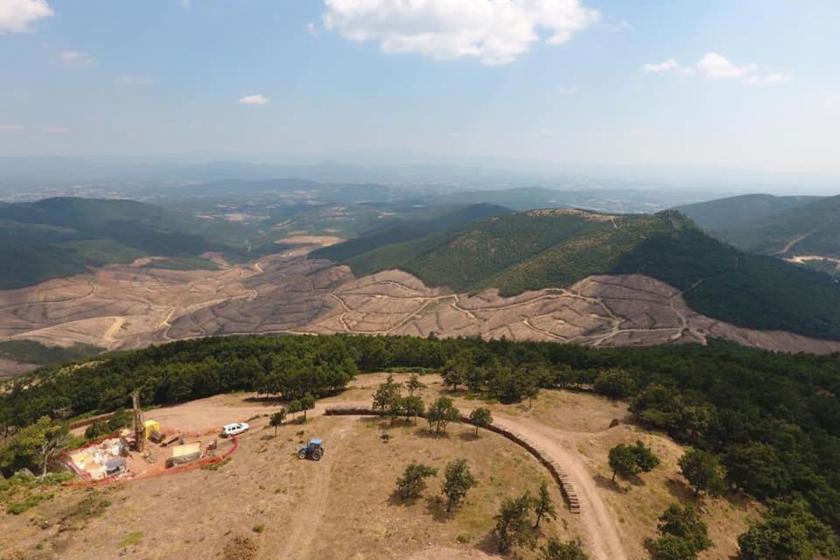 Çanakkale’de tehlike çanları: Maden ocağı için 195 bin ağacı kestiler