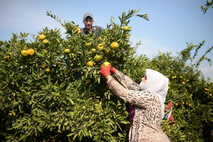 Koronavirüs krizi kıtlık krizine dönüşmesin