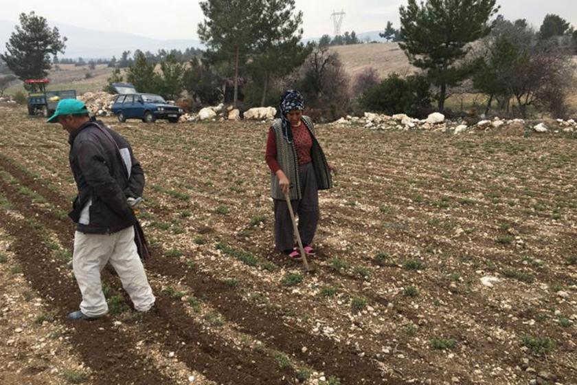 Kıtlık kapıda, üreticiyi hem salgın hem de ekonomik darboğaz kaygılandırıyor