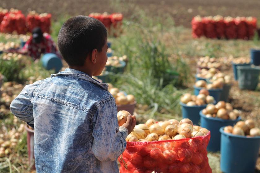 Çocuk işçiliğinin son bulması için meclis araştırması talebi