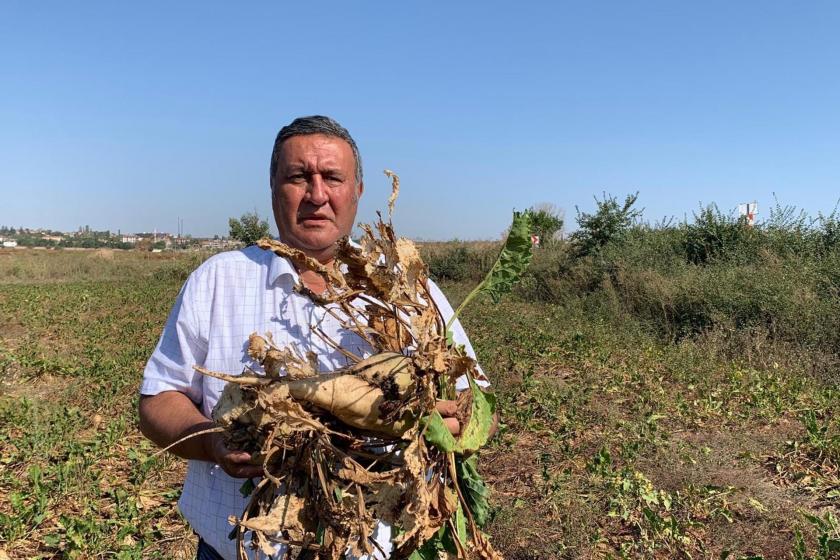 CHP'li Gürer: Şeker pancarı taban fiyatı üreticide hayal kırıklığı yarattı