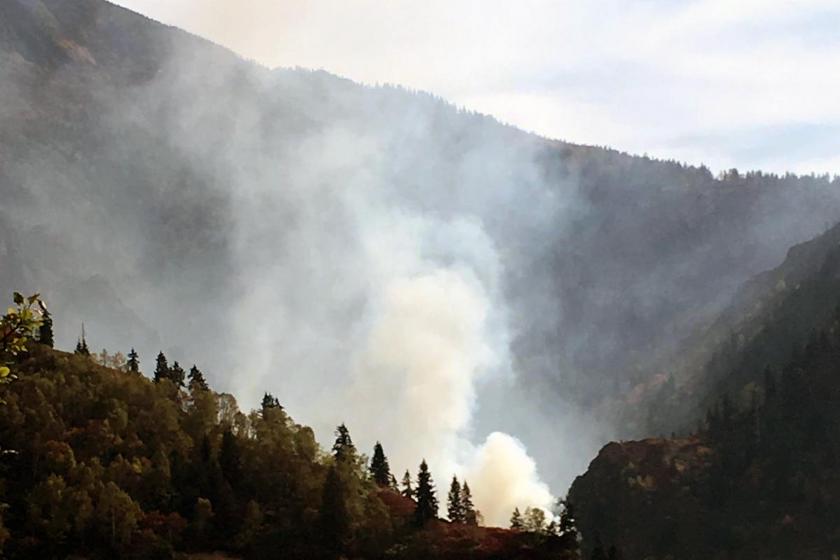 Artvin Murgul’da orman yangını: Siyanür havuzu kurulmak istenen bölge yandı