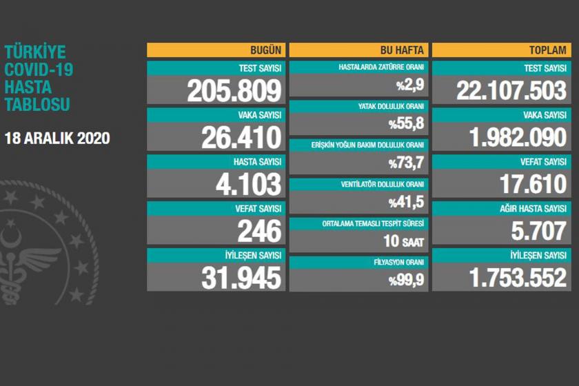 Türkiye'de Kovid-19 nedeniyle son 24 saatte 246 kişi yaşamını yitirdi