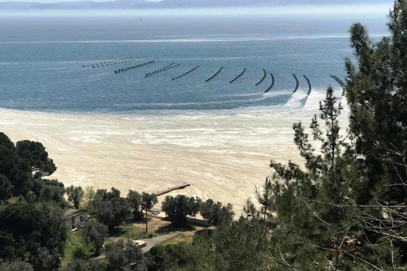 Deniz salyası arttı çünkü atık su yönetimi yetersiz ve iklim krizi dikkate alınmıyor