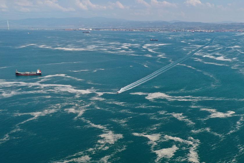 İzmit Körfezi'nde müsilaj etkisini sürdürüyor