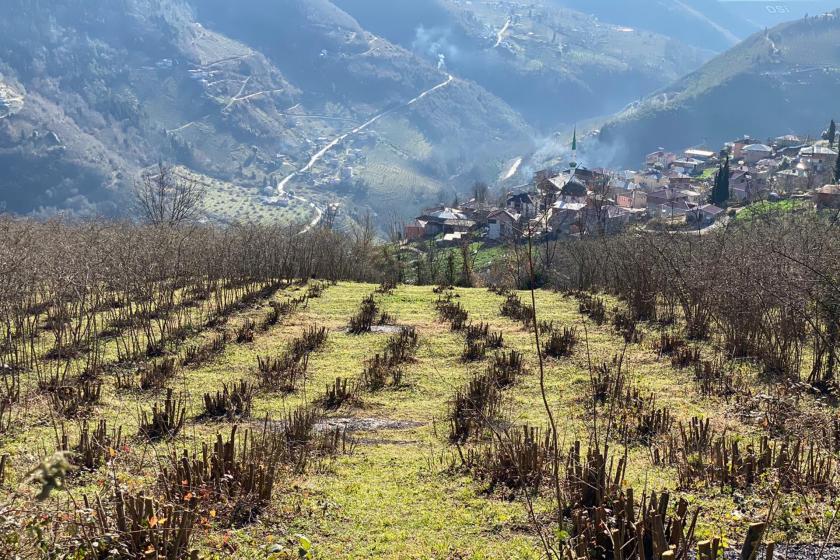 Emek Partisi Ordu İl Örgütü: Bu iktidar, gıda ve tarım şirketlerini temsil ediyor