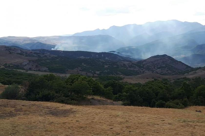 Dersim Barosu: Hozat'taki orman yangınıyla ilgili suç duyurusunda bulunacağız