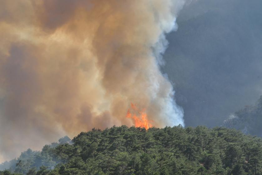 Muğla'nın Milas ve Köyceğiz ilçesindeki orman yangınları sürüyor