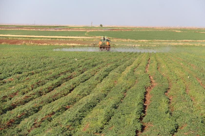 Tarımsal girdi fiyatları temmuz ayında yıllık bazda yüzde 29,38 arttı