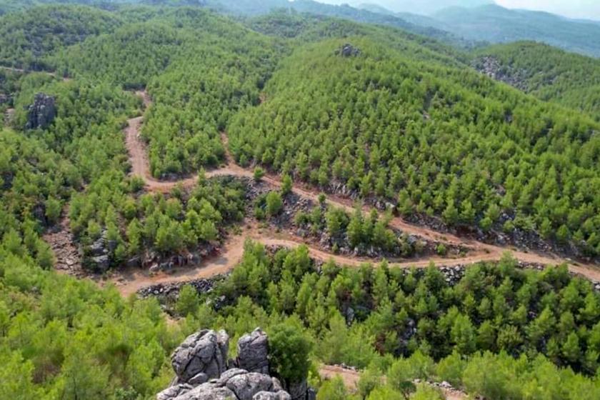 Orman kanununda değişiklik: "Kamu yararı" ve "zaruret" varsa yapılaşmaya izin çıktı