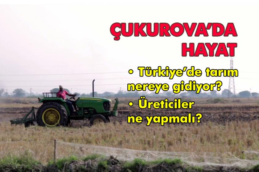 Türkiye'de tarım nereye gidiyor, üreticiler ne yapmalı? | Çukurova'da Hayat