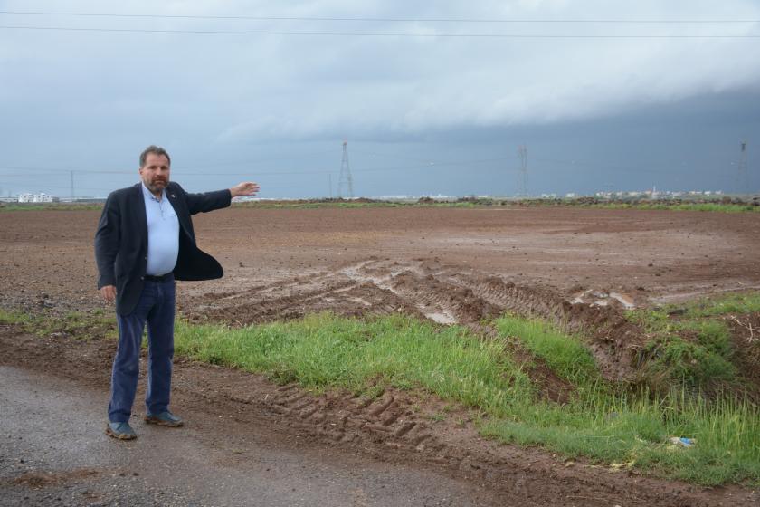 Diyarbakır'da dolunun vurduğu pamuk üreticileri: Tarlalarımızı yeniden ekmemiz için destek verilsin