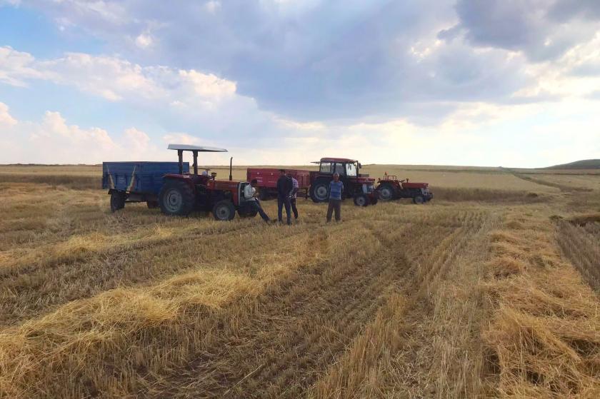 Belçika’dan daha büyük Hazine arazisi satışa sunuldu