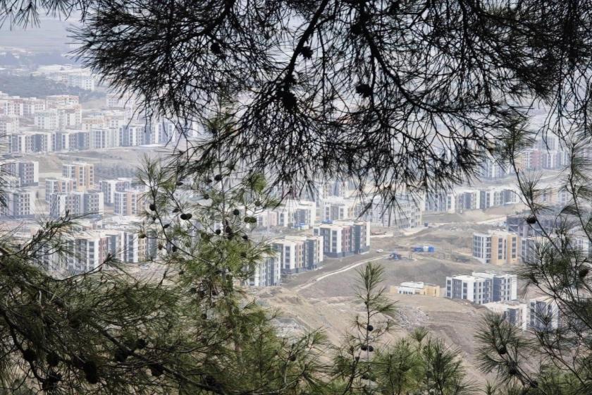 Dikmece mahallesinde TOKİ için zeytin ağaçlarını yok ediyorlar