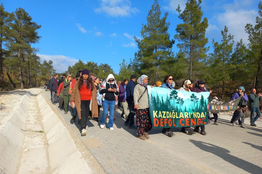 Danıştay 4. Dairesi Kaz Dağı’ndaki doğa talanın yolunu açtı!