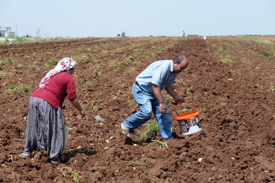 Çiftçinin elektrik ve su borcu tarımsal destekten kesilecek