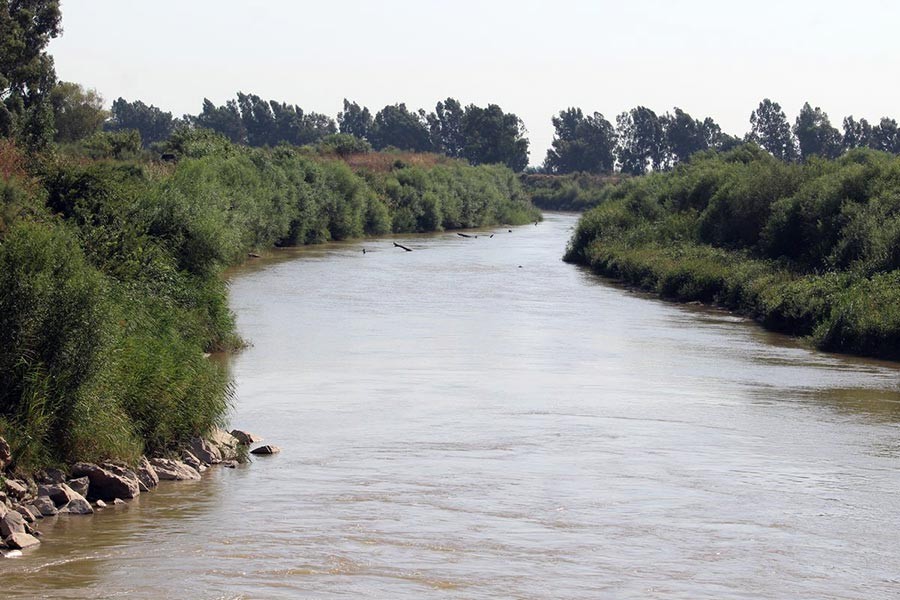 Büyük Menderes İnisiyatifi: Arıtmasız fabrikalar Büyük Menderes Nehri'ni kirletiyor