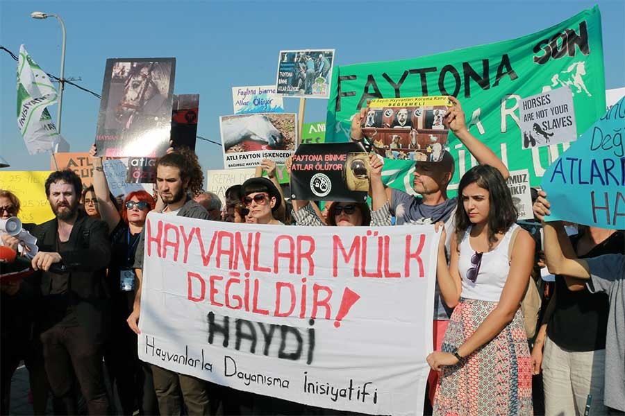 Hayvanlara yönelik şiddet ve istismarı Meclis’e taşındı