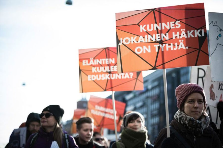 Finlandiya’da kürk sanayisinin kalbinde eylem