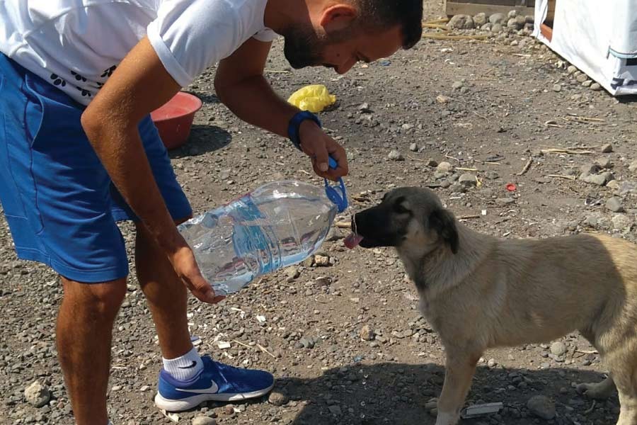 Zoonotik hastalıklarla mücadelede başarı, bütüncül bir sağlık sistemiyle sağlanır