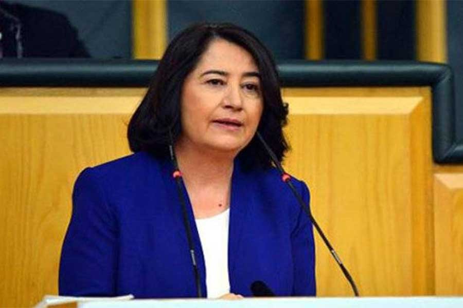 HDP'li Pekgözegü "Her okulda ücretsiz ve sağlıklı yemek" için kanun teklifi verdi