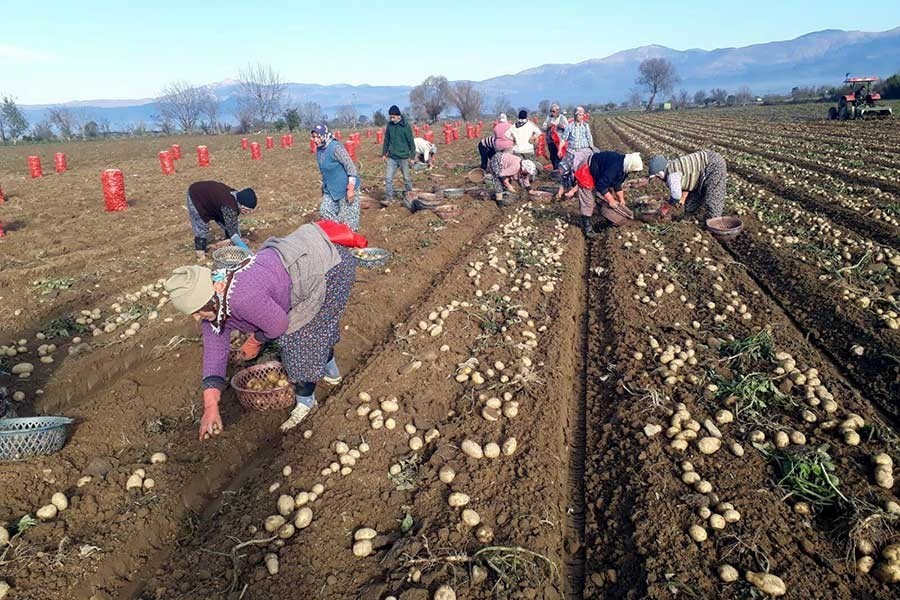 Nevşehir'de patates üreticisi yurttaş Ziraat Bankasında bedenini ateşe verdi