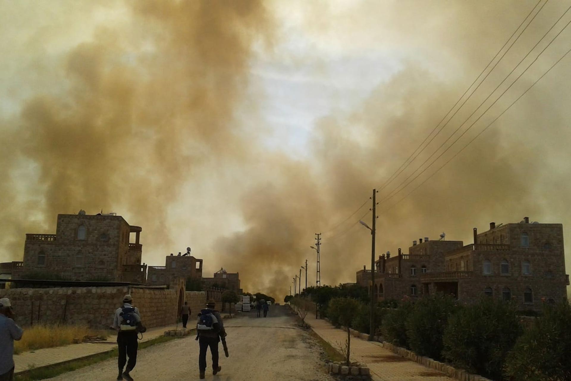 Mardin'de orman yangını