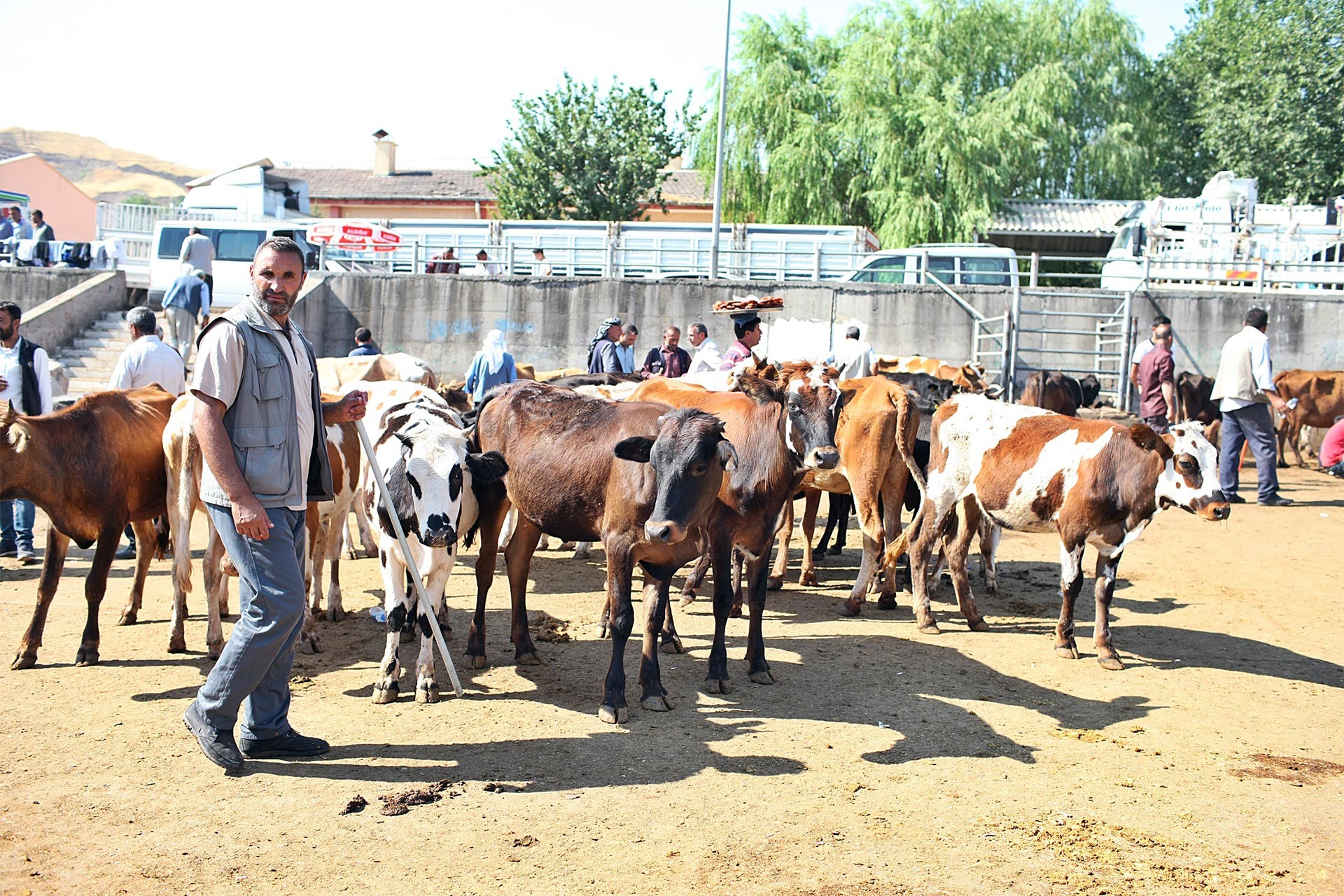 İVHO: Kurban bayramında pandemi koşulları dikkate alınarak önlemler alınmalı