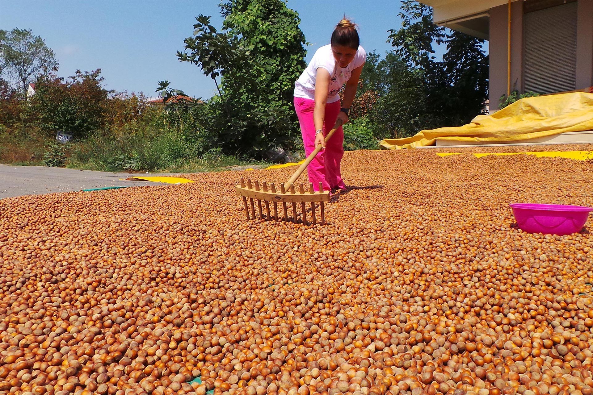 Rizeli esnaf da dertli, çay üreticisi de