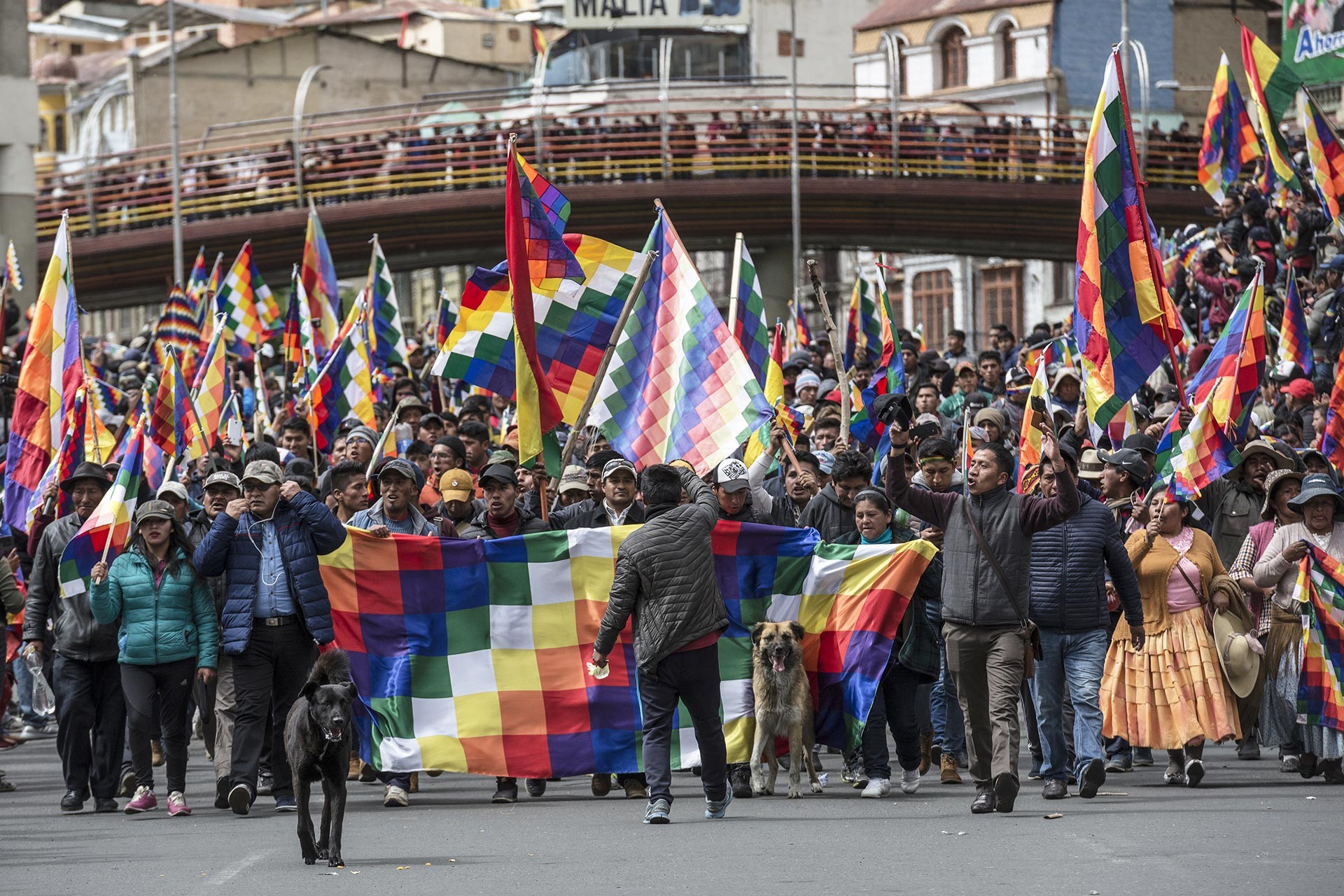 Bolivya'da yerli halk, darbeyle birlikte hedef alınan Kızılderili bayrağı Whipala'ya saygı gösterilmesini talebiyle eylem yaparken