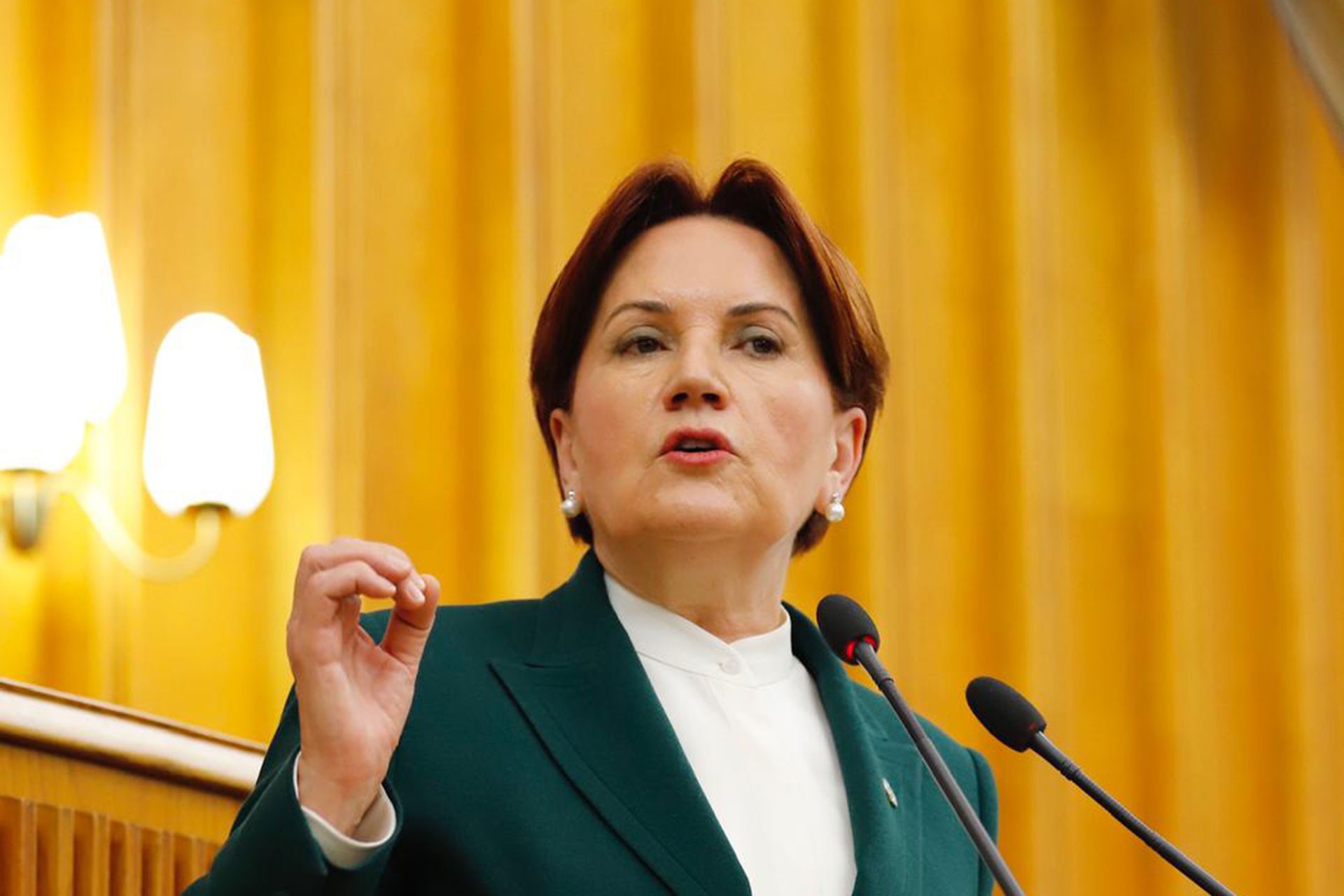 Meral Akşener: Koronavirüse karşı Bilim Kurulu tam karantina istedi, Erdoğan reddetti