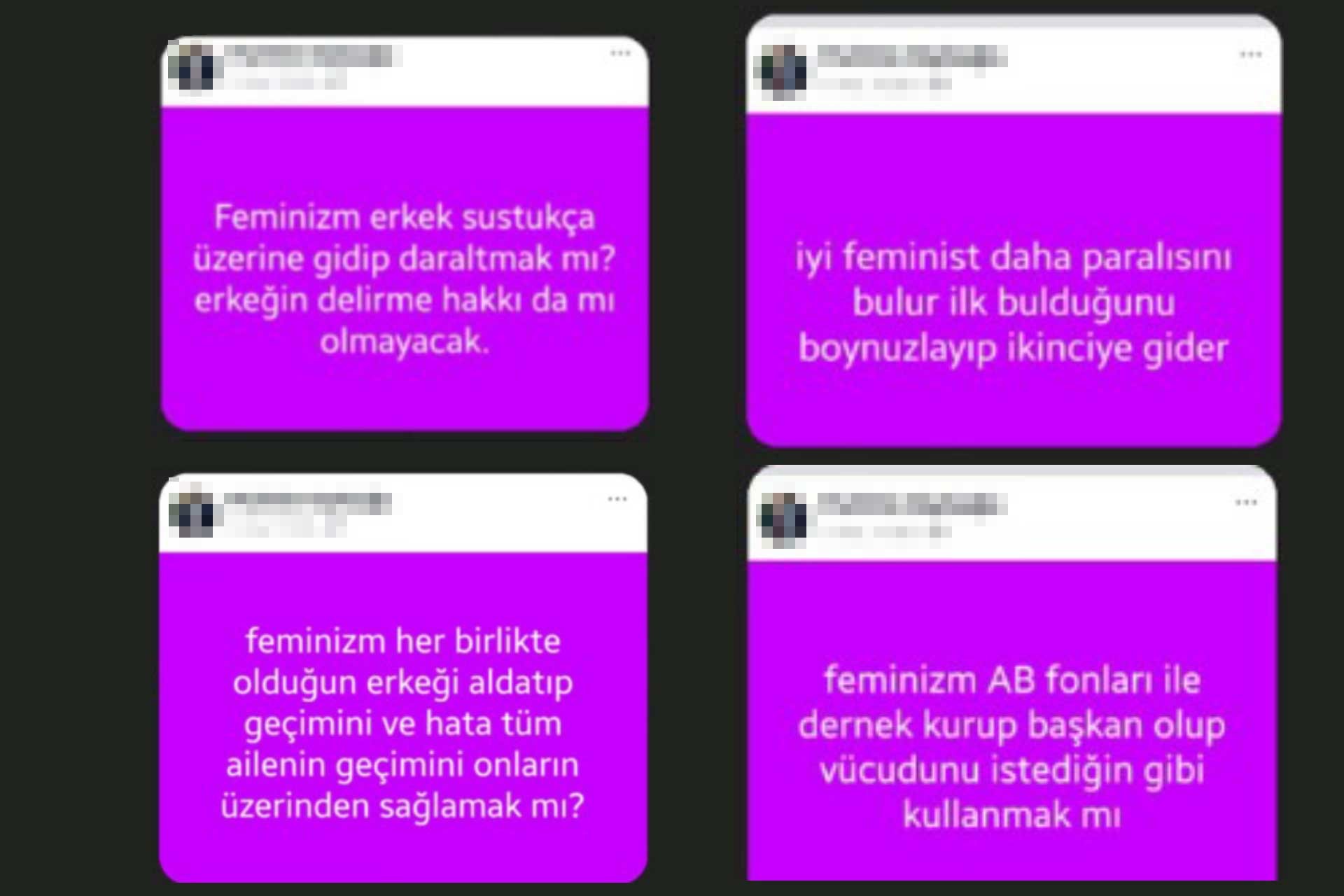 Av. M.K.'nin feminizmi hedef alan paylaşımları