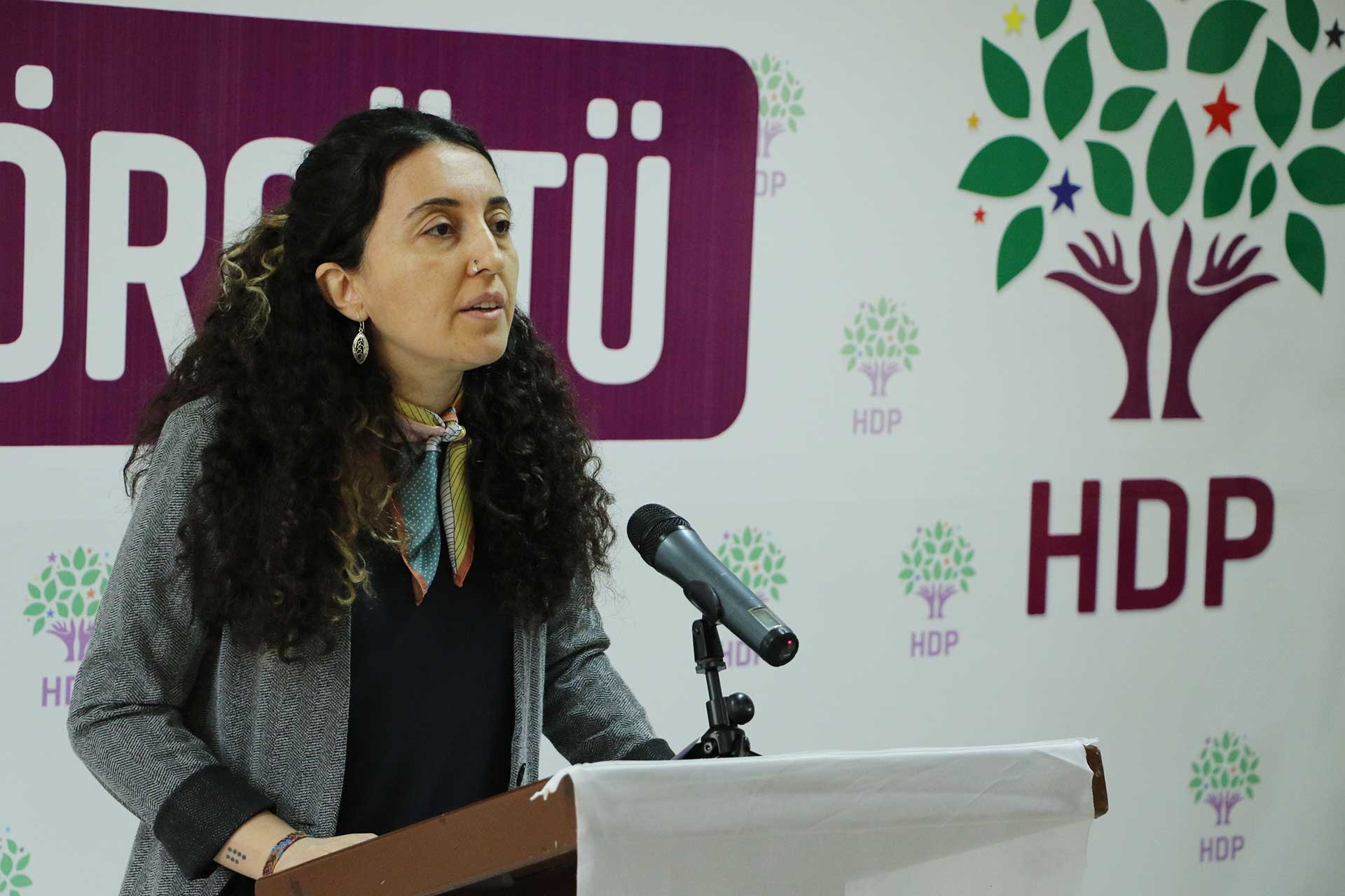 HDP Sözcüsü Ebru Günay: AKP, bırakın iş birliği yapmayı kayyum atıyor