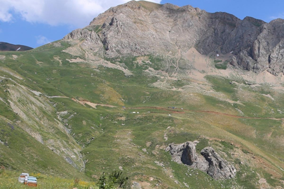 Dersim’de mera için yapılan yol çalışması bitki çeşitliğini tahrip ediyor