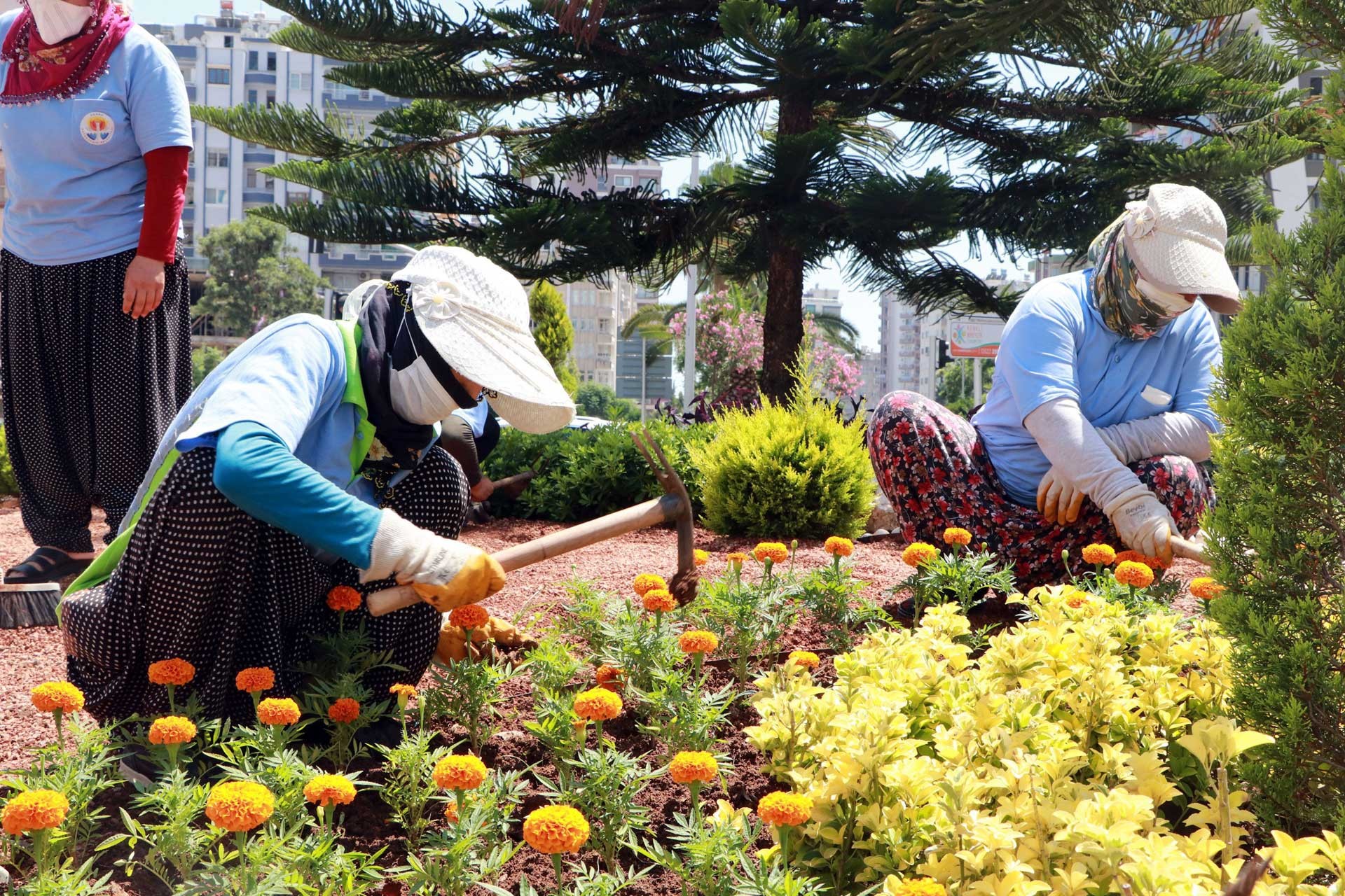 Kadın peyzaj işçilerinin 40 derece sıcaklıkta zorlu mesaisi