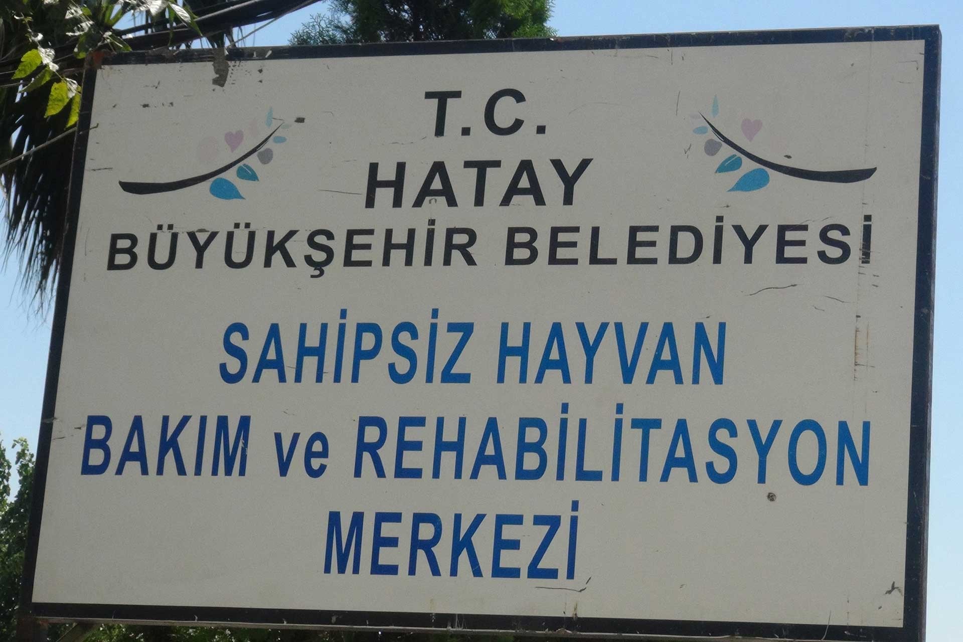 Hatay'da 20 hayvanın öldüğü barınağa yalnızca 18 bin lira para cezası verildi