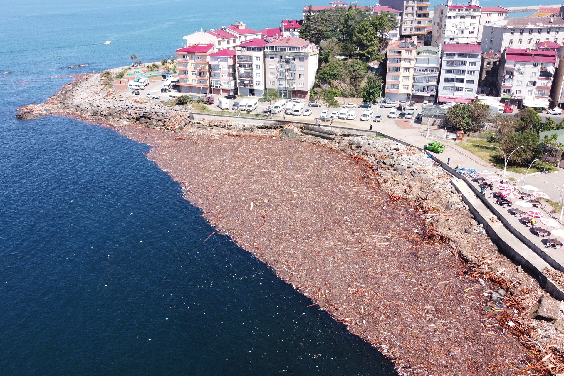 Giresun'da deniz kıyısı odunlarla kaplı