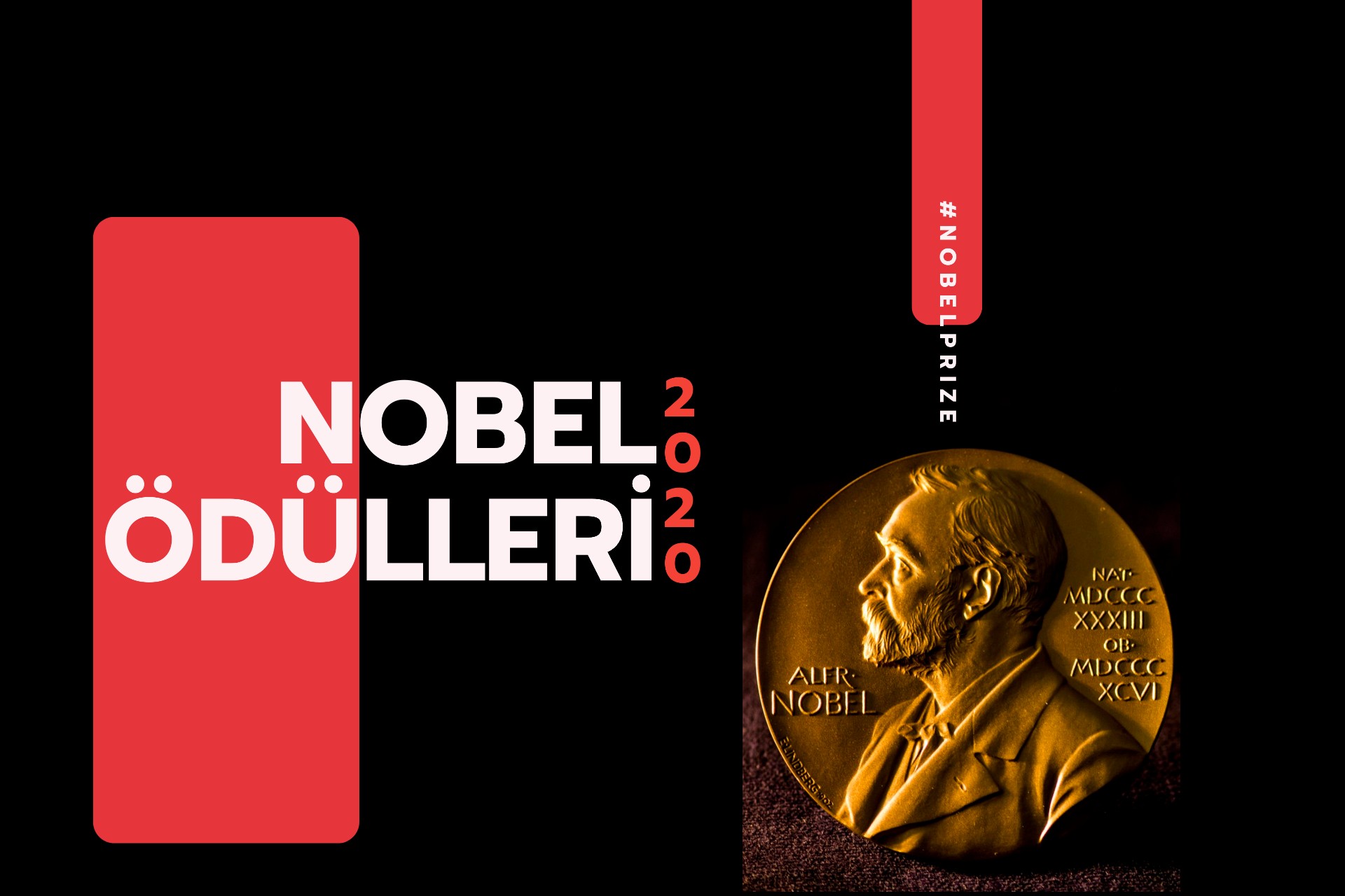 2020 Nobel Ödülleri sahiplerini buldu