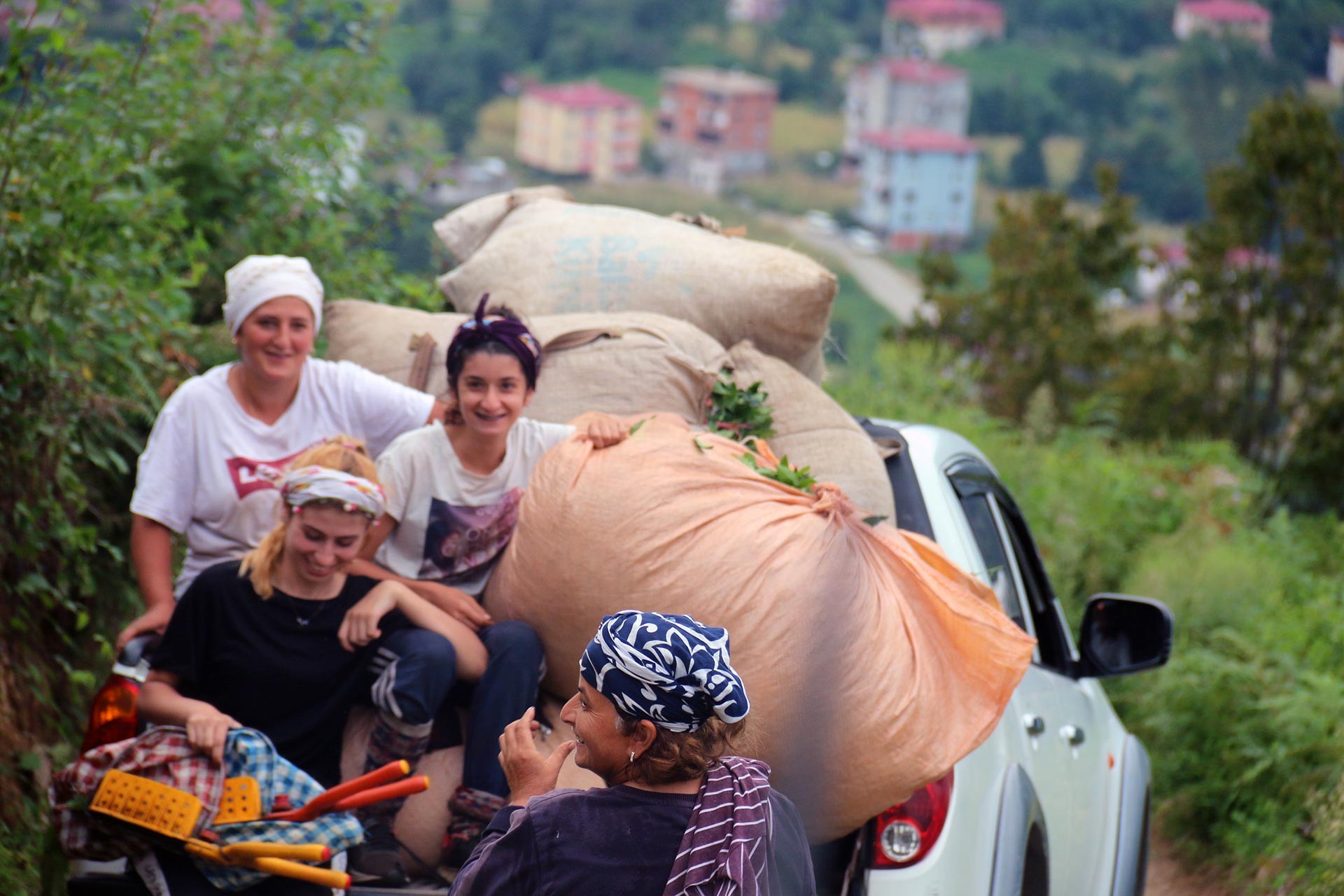 Tarım işçileri