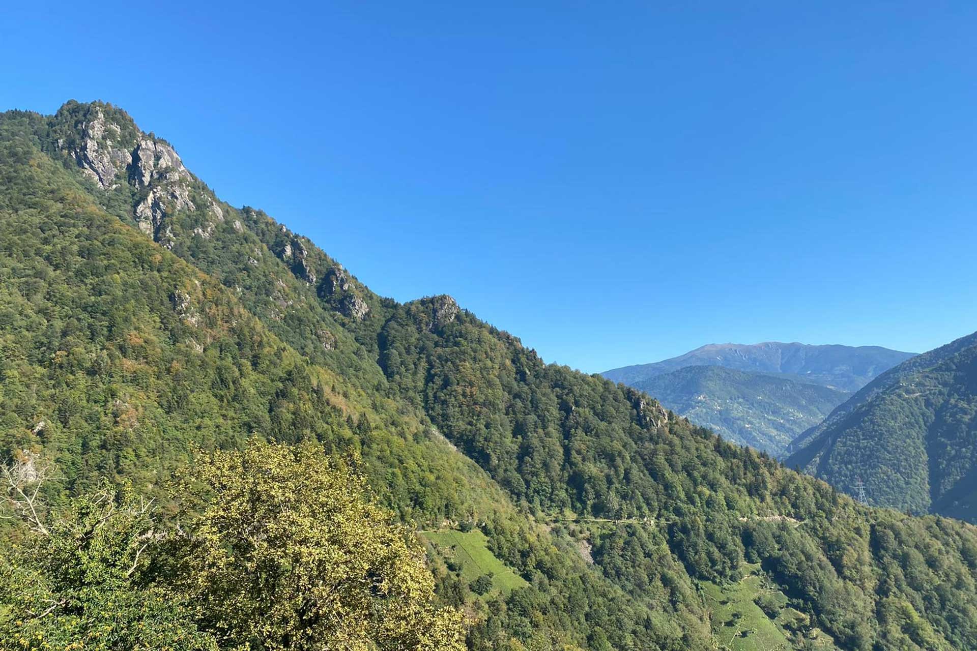 Rize'de mahkemenin "taş ocağı olmaz" dediği yere, bu kez de Cengiz İnşaat göz dikti