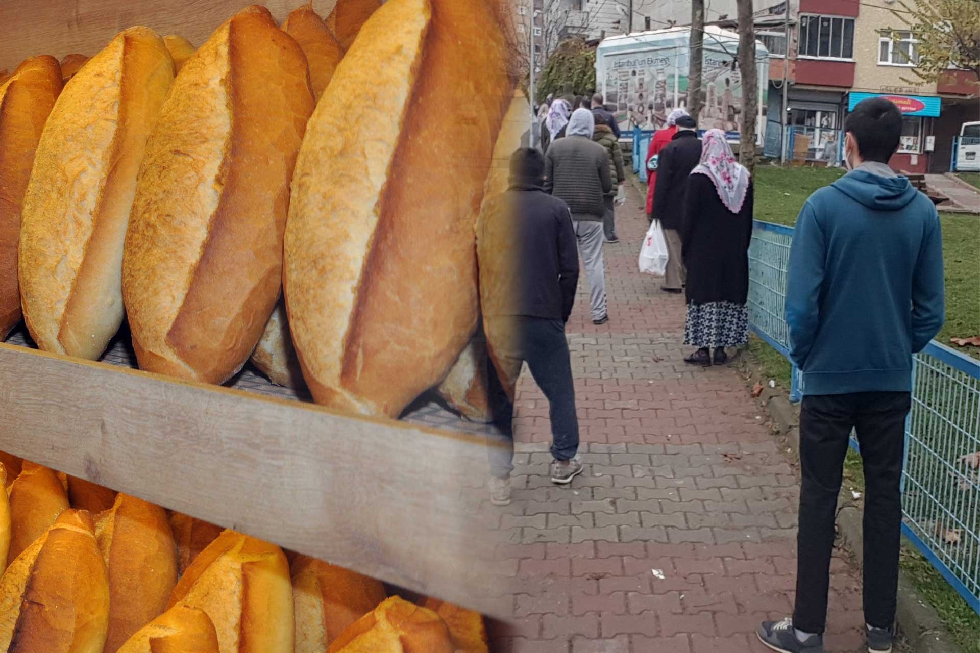 A queue for a loaf of bread: I am 60 years old, in the queue for 2 hours for 1 lira!