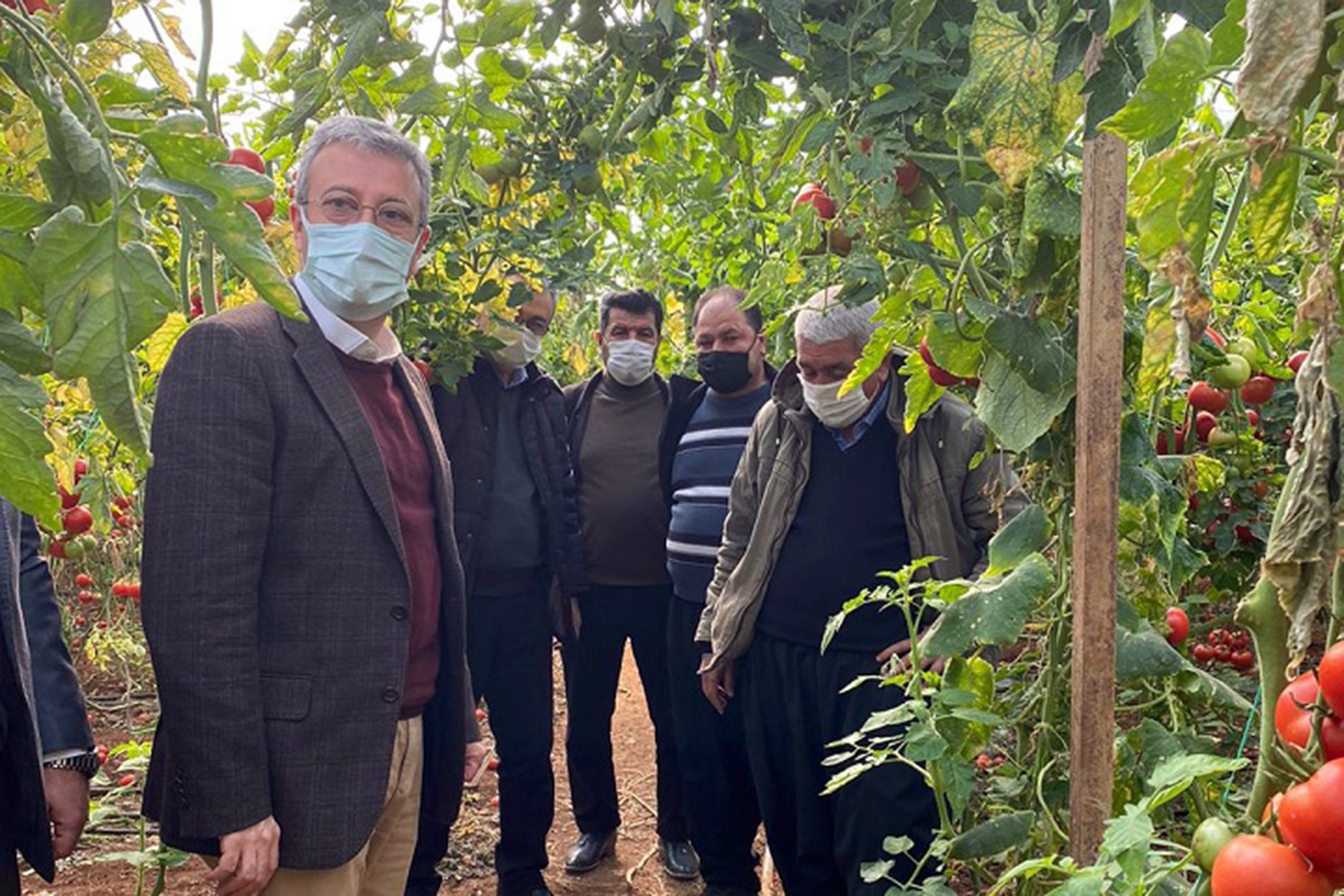 Mersinli domates üreticisi isyanda: Borcu olmayan çiftçi yok, açız aç