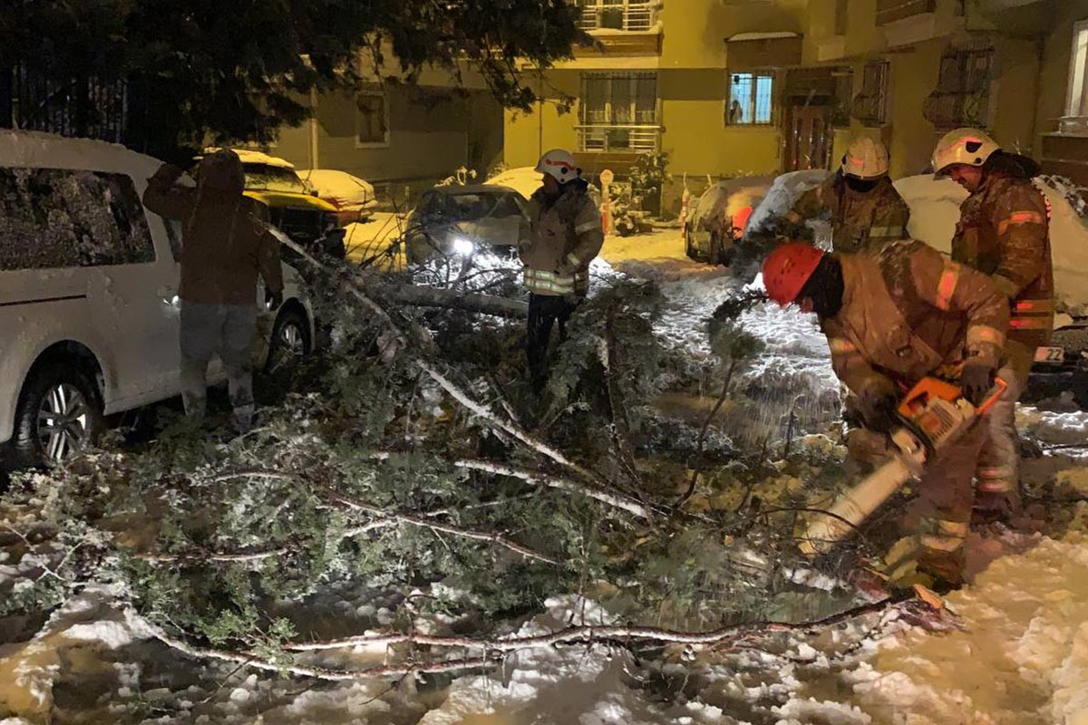 Devrilen ağacı parçalayan itfaiye görevlileri