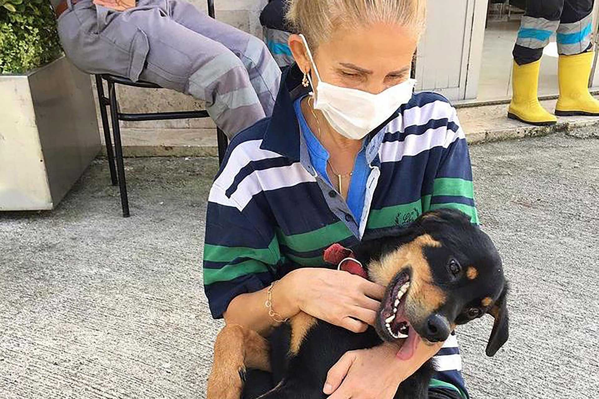 Köpeğe şiddet uyguladı, bu görüntüleri paylaşan kişiye dava açtı, davayı kaybetti