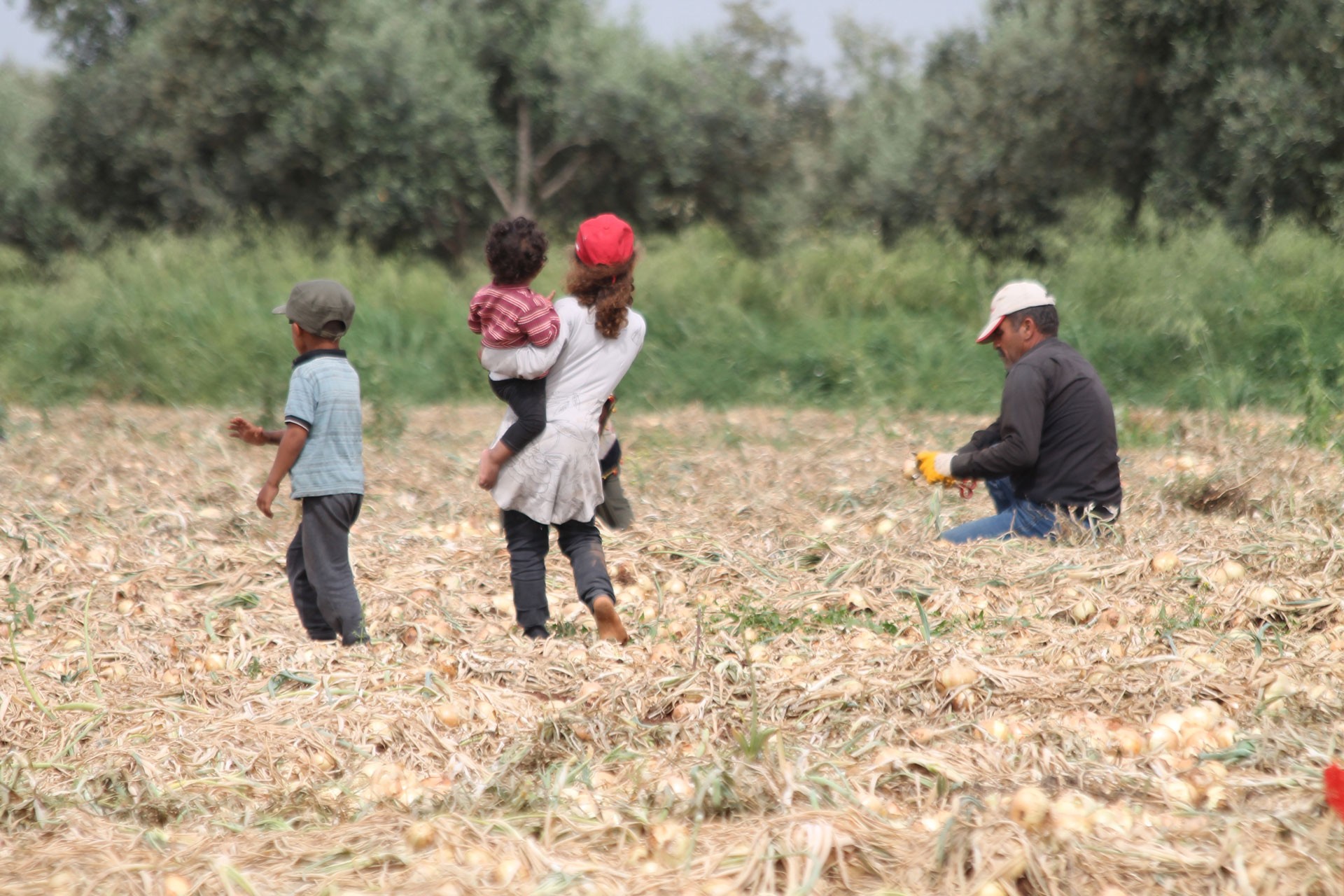 Babası tarım işçisi olan M.Y. hem kardeşine bakıyor hem de tarlada çalışıyor