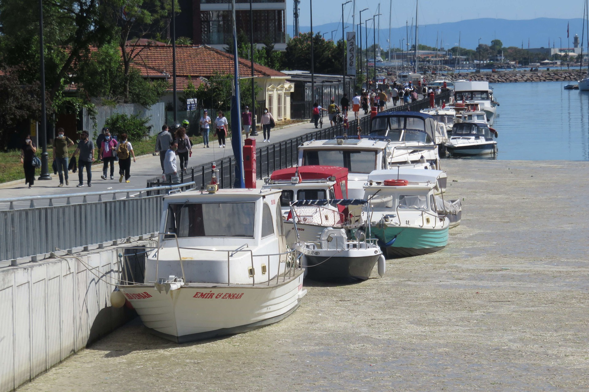 Kurbağalıdere'yi deniz salyası kapladı: Tüm canlılar için büyük bir tehlike