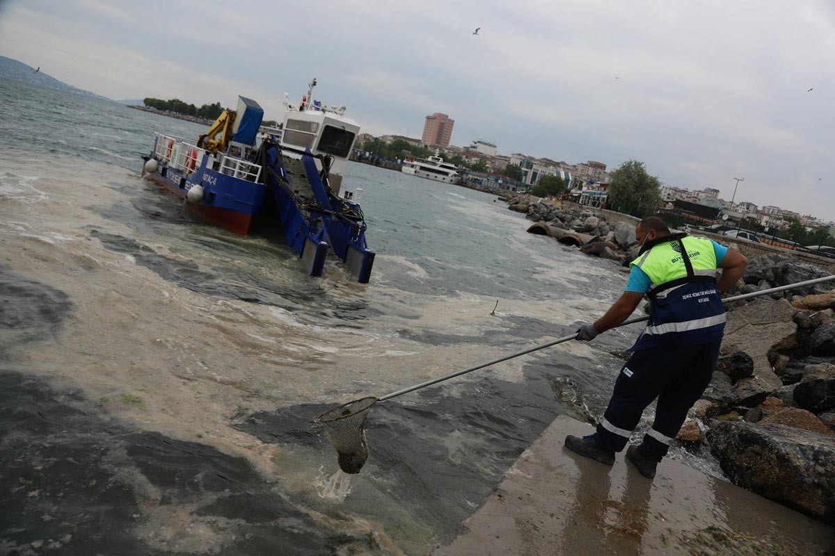 Kartal Belediyesinde yürütülen deniz salyası temizleme çalışması