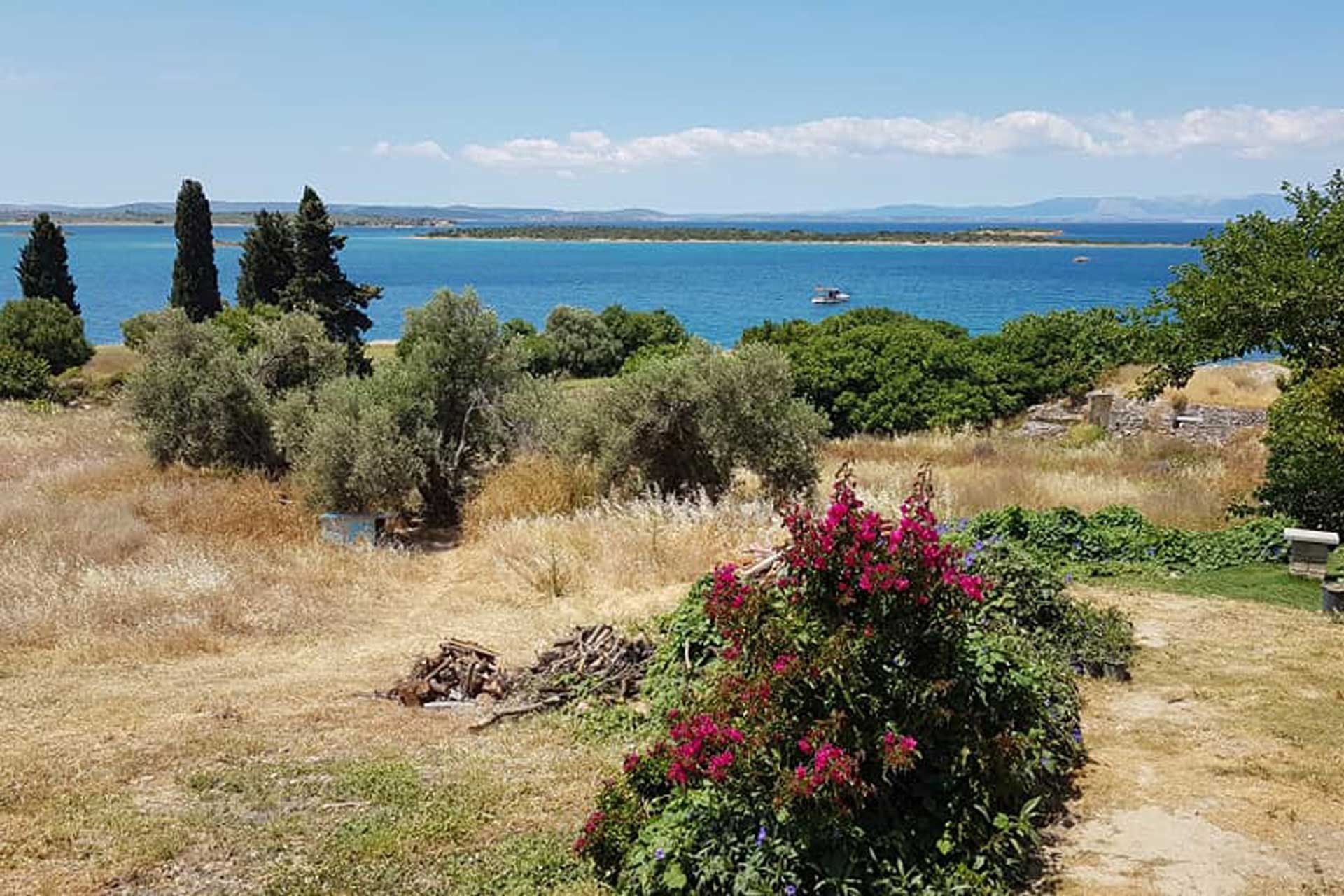 Türkiye Ormancılar Derneği: Çeşme Turizm projesinin sonuçları ağır olacaktır!